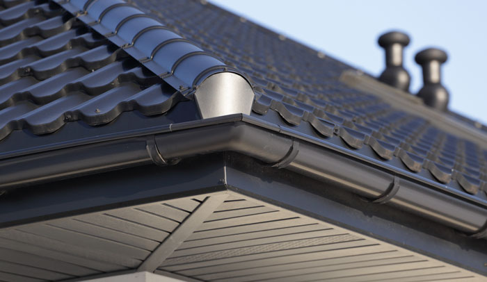 closeup of gutter and roof