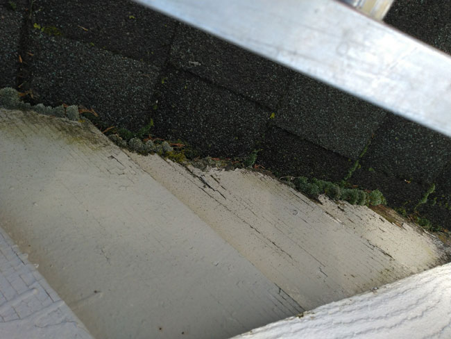 closeup of roof issues